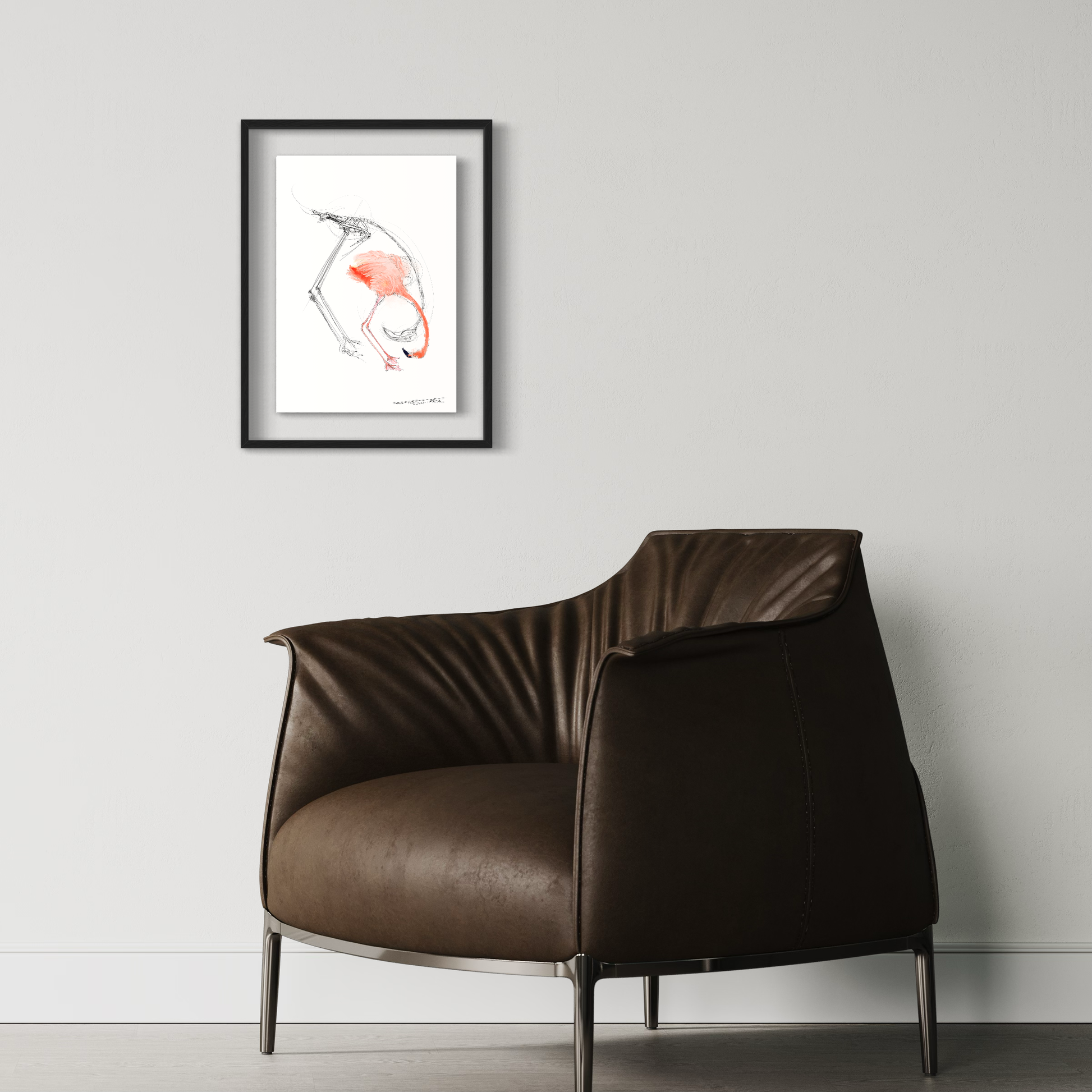 planche anatomique du flamand rose En Chair et en Os décoration murale